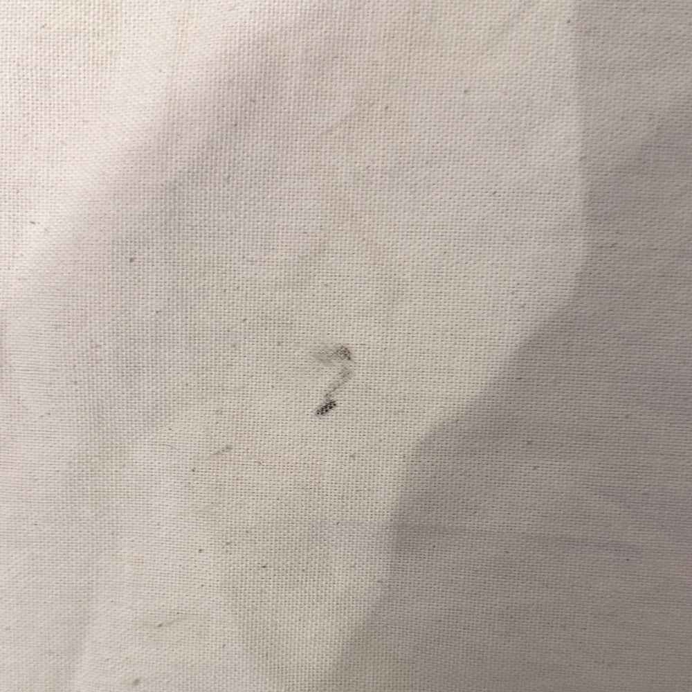 Valentino Cream Dust Bag with Red Tag - Picture 3 of 11